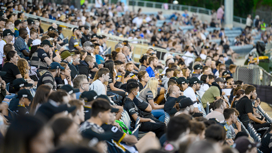 Stadium Crowd