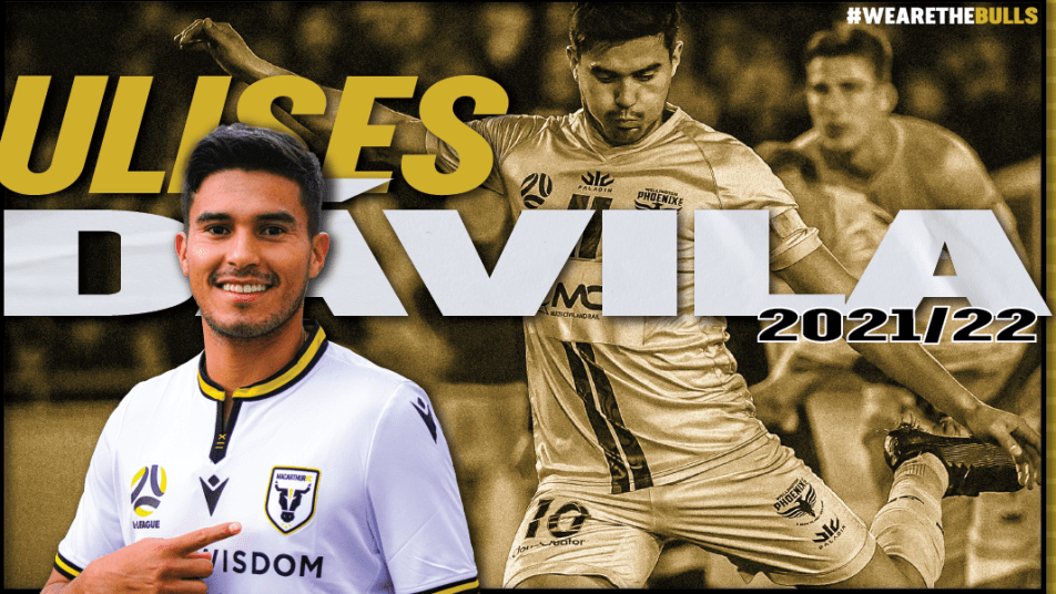 Davila 1500x600